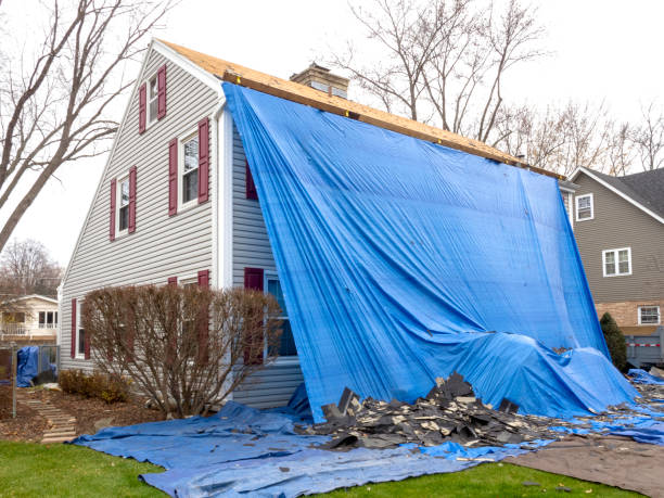 Best Brick Veneer Siding  in Maple Bluff, WI